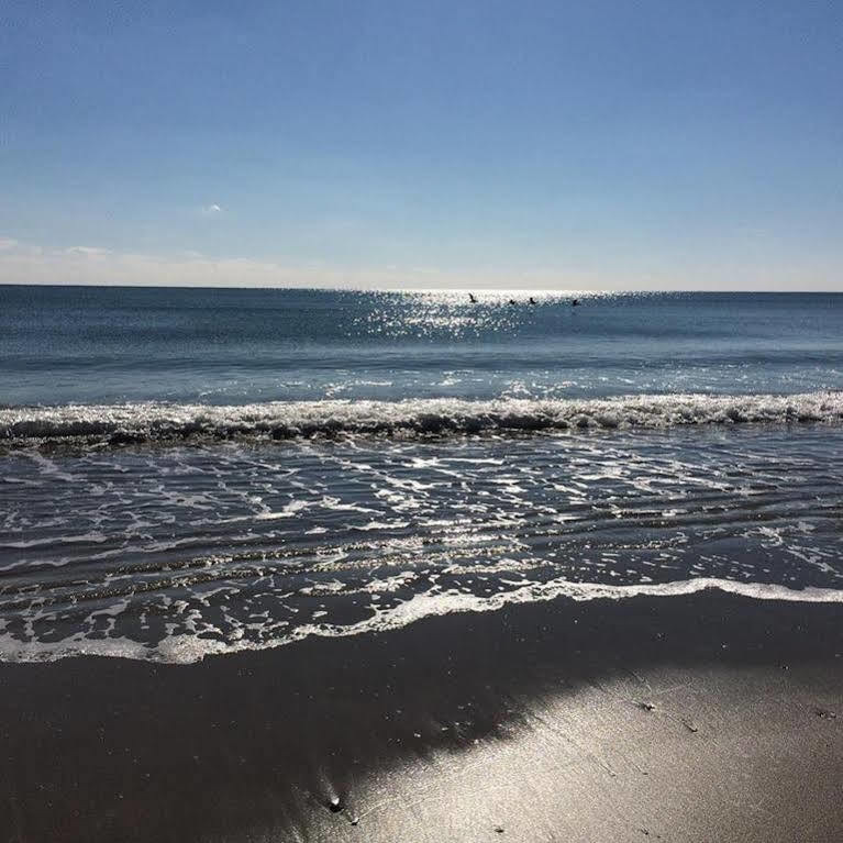 Crystal Coast Oceanfront Hotel Pine Knoll Shores Buitenkant foto